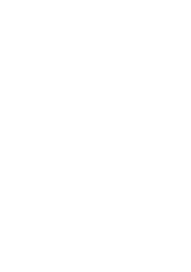 The Metal Shack logo